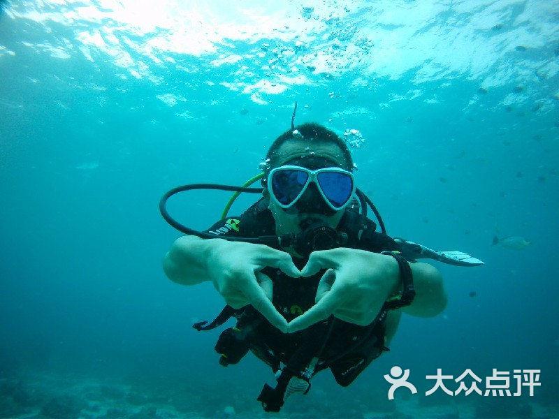 逃出白海豹洞